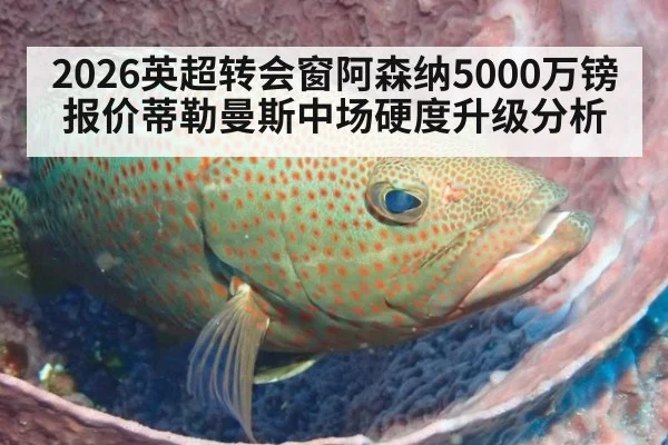 2026英超转会窗阿森纳5000万镑报价蒂勒曼斯中场硬度升级分析