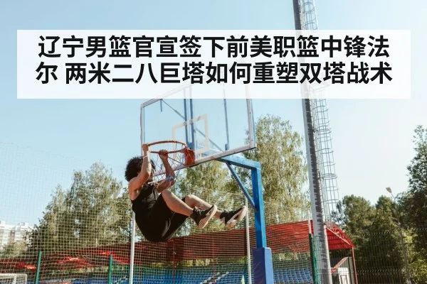 辽宁男篮官宣签下前美职篮中锋法尔 两米二八巨塔如何重塑双塔战术